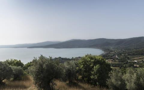 Garden, Lake view