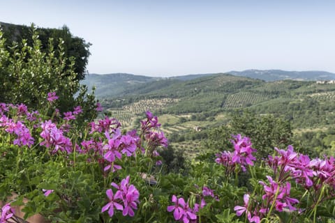 Garden view, Lake view, Mountain view