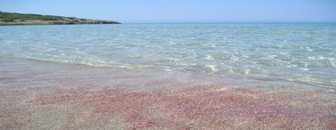 Day, Natural landscape, Beach