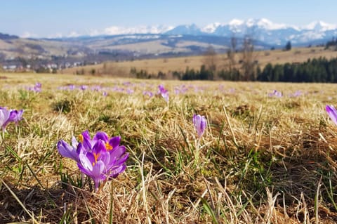 Spring, Off site, Garden, Hiking