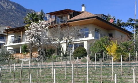 Property building, Spring