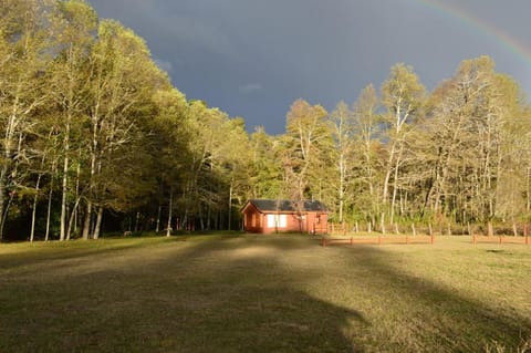 Cabañas Valle del Río House in Araucania, Chile