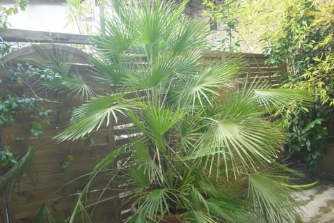 Lou mas li Pitchoun "La Bergerie" Apartment in Gordes