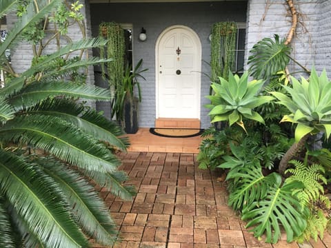 Palm Beach Bed & Breakfast Bed and Breakfast in Pittwater Council