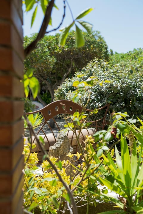 Patio, Garden