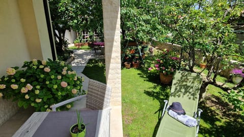 Patio, Garden, Garden view