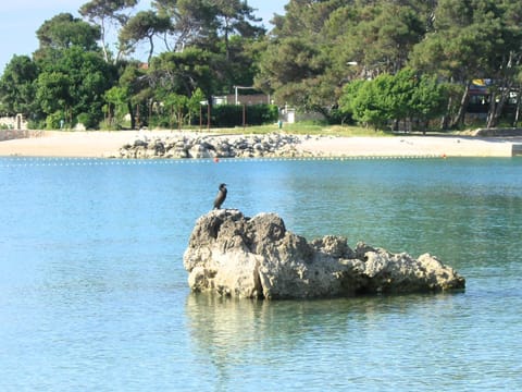 Neighbourhood, Natural landscape, Beach