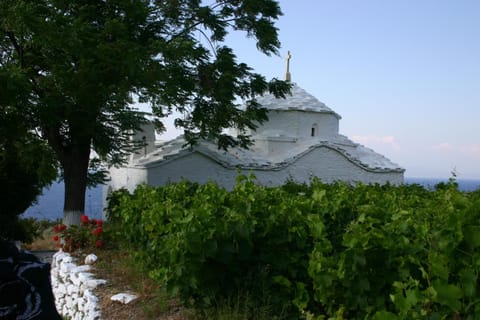 Nearby landmark, Natural landscape