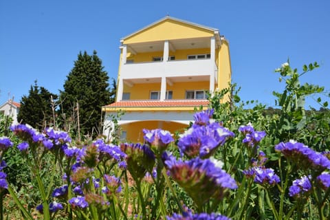 Facade/entrance, Balcony/Terrace, Photo of the whole room, Decorative detail, Floor plan, Beach