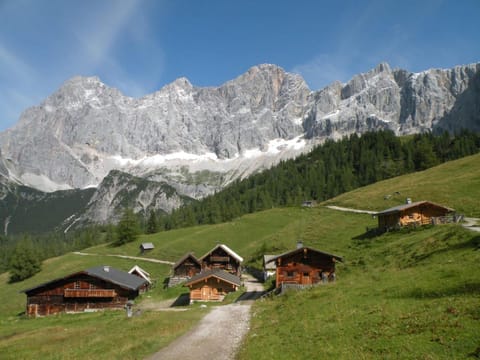 Premium Wanderhotel Steirerhof Hotel in Schladming