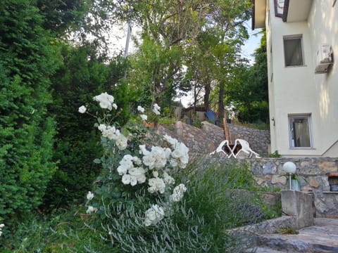 Maslov Apartments Condo in Ohrid