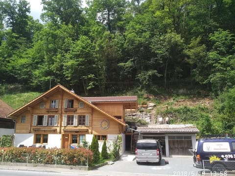 Lakeview Family Apartment Apartment in Canton of Bern (Region)