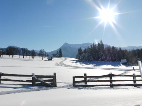 Day, Winter, View (from property/room), Other