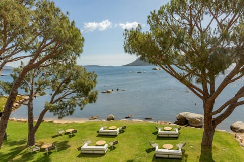 Garden, Garden view, Sea view