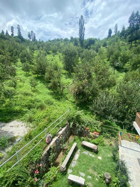 Garden, Mountain view