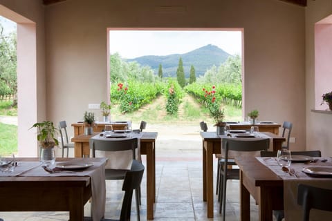 Agriturismo Tra gli Ulivi, Chiappini Farm Stay in Tuscany