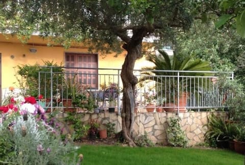 B&B dei Fiori Bed and Breakfast in Praia A Mare