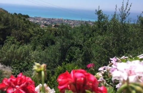 B&B dei Fiori Übernachtung mit Frühstück in Praia A Mare