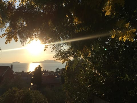 Sea view