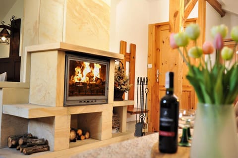 Living room, Photo of the whole room, fireplace