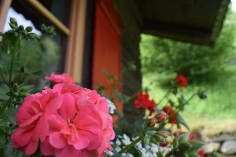 Facade/entrance, View (from property/room)