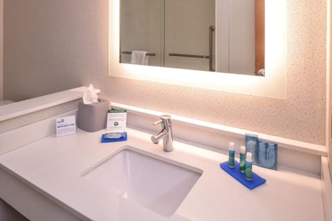 Holiday Inn Express Hotel & Suites Southfield - Detroit, an IHG Hotel Hotel in Southfield
