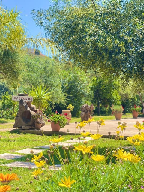 Spring, Day, Natural landscape, Garden, Balcony/Terrace, Garden view