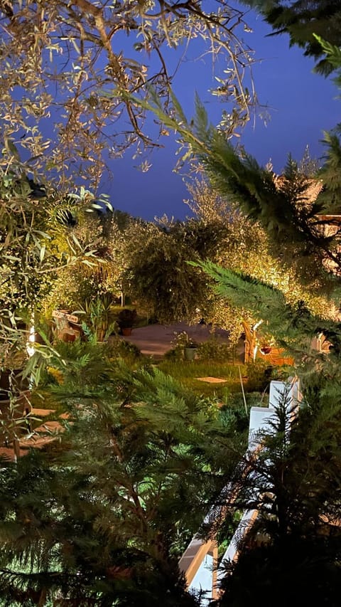 Spring, Night, Natural landscape, View (from property/room)