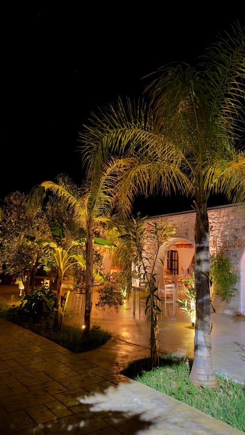 Night, Garden view