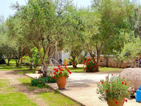 Natural landscape, Garden, View (from property/room), Garden view