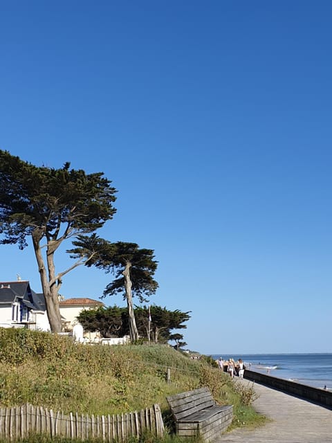 Natural landscape, Beach, Sea view