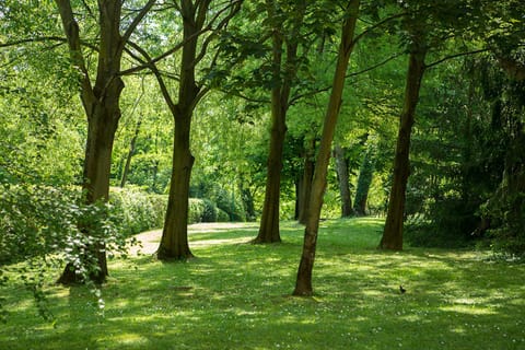 Garden, Garden view