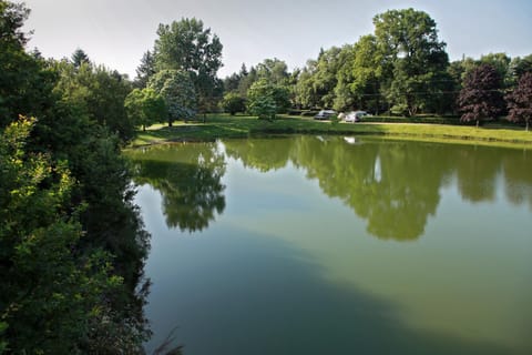 Lake view