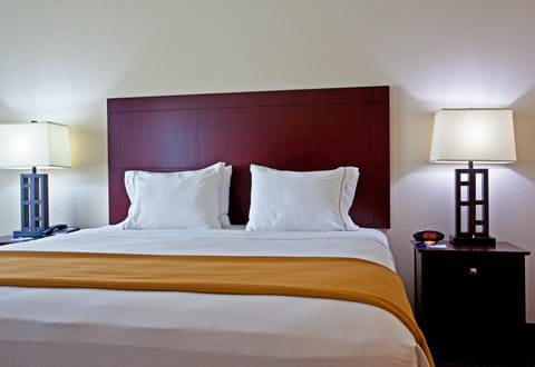 Holiday Inn Express & Suites Chicago West-O'Hare Arpt Area , an IHG Hotel Hotel in Hillside