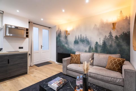 Living room, Decorative detail, Seating area