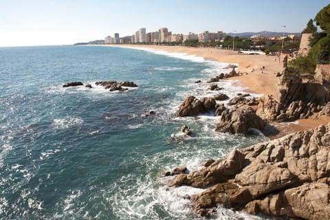 Natural landscape, Beach, Hiking, Sea view