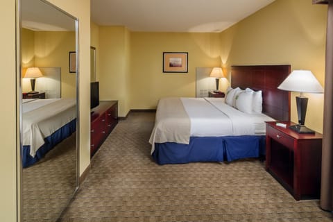 Holiday Inn Augusta West I-20, an IHG Hotel Hotel in Evans