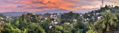 The Tenthola Bed and Breakfast in Kandy