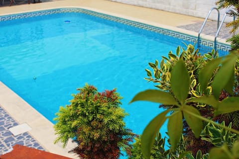 Patio, Garden, Solarium, Pool view, Swimming pool, Open Air Bath