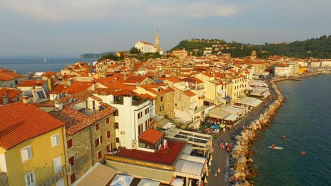 Property building, Restaurant/places to eat, Neighbourhood, Bird's eye view, Summer, Fishing, Beach, Windsurfing, Canoeing, Hiking, Cycling, Diving, On site, Supermarket/grocery shop, Sunset