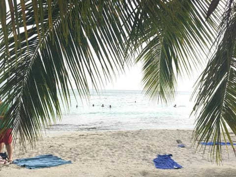 Natural landscape, Beach, Hiking, Sea view