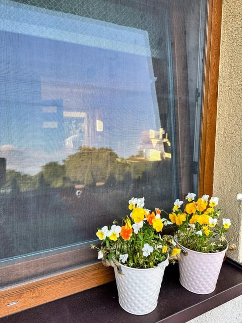 Spring, View (from property/room), Garden view