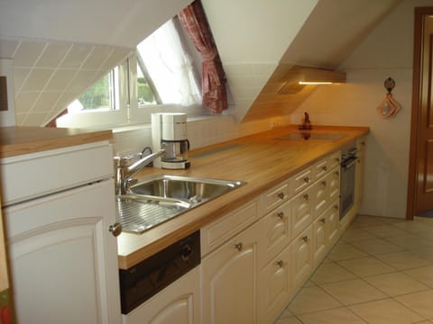 Kitchen or kitchenette, dishwasher, stove