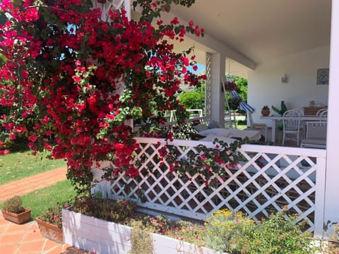 Patio, Day, Garden view