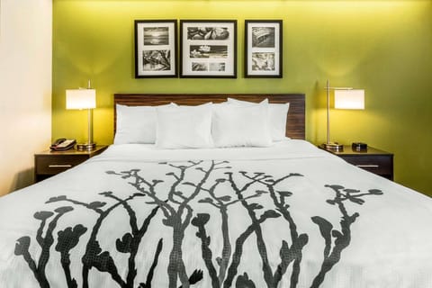Sleep Inn Charleston - West Ashley Hotel in Johns Island