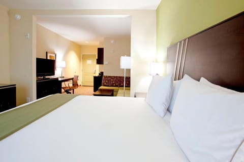 Holiday Inn Express Hotel & Suites Clemson - University Area, an IHG Hotel Hotel in Clemson