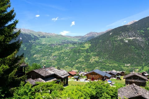 à la Maison des Cheneaux Chalet in Bagnes