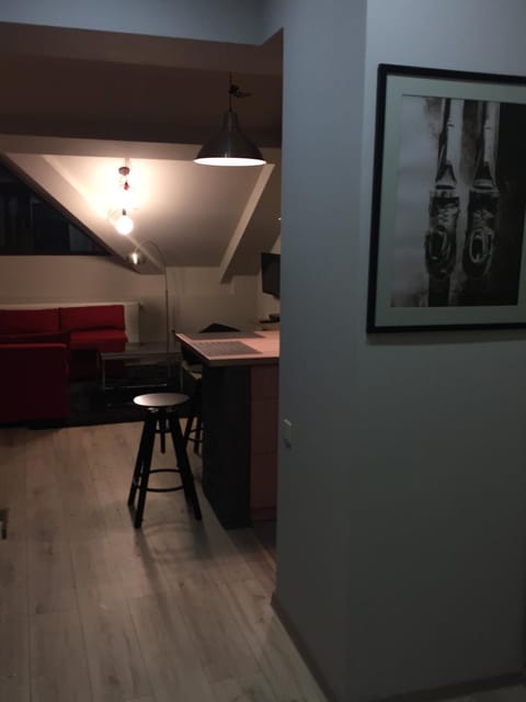 Two Level Apartment near Gondola Appartement in Georgia