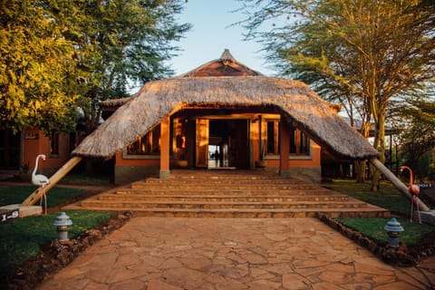 Escarpment Luxury Lodge Manyara Lodge nature in Kenya