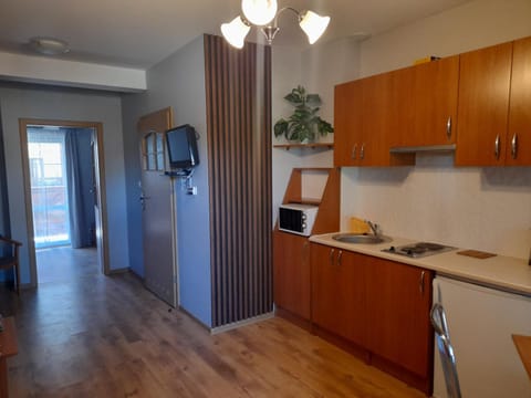 Apartament pod Dębami Apartment in Pomeranian Voivodeship